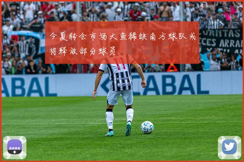 今夏转会市场大鱼稀缺南方球队或将释放部分球员