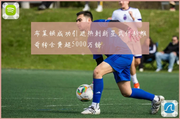 布莱顿成功引进热刺新星武什科维奇转会费超5000万镑