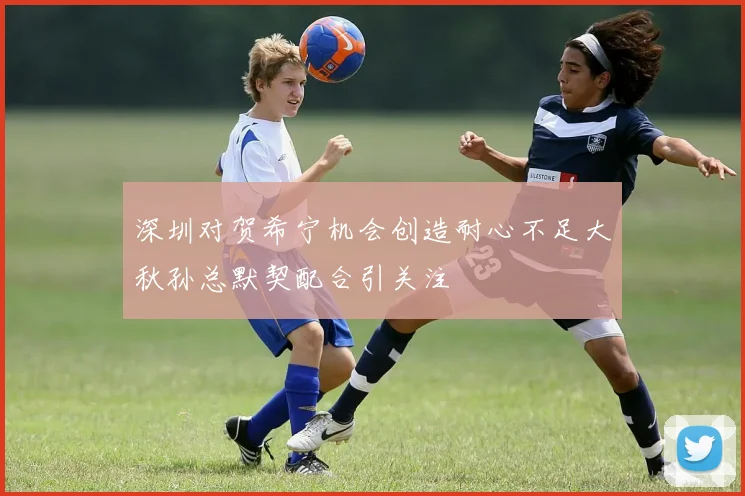深圳对贺希宁机会创造耐心不足大秋孙总默契配合引关注